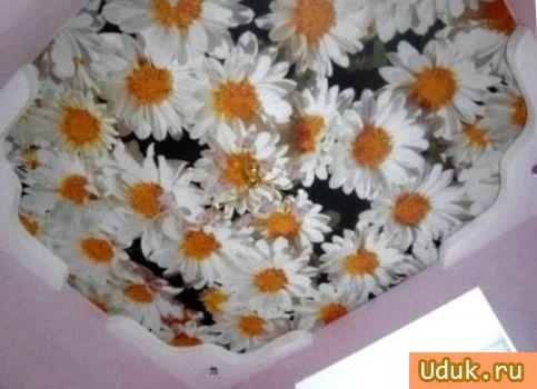 Тканевый натяжной потолок 9