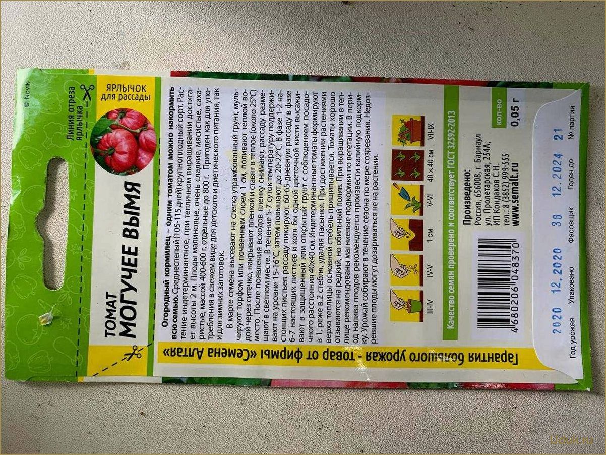 Высокоурожайный сорт томата с могучим вымени: описание, советы по выращиванию и уходу