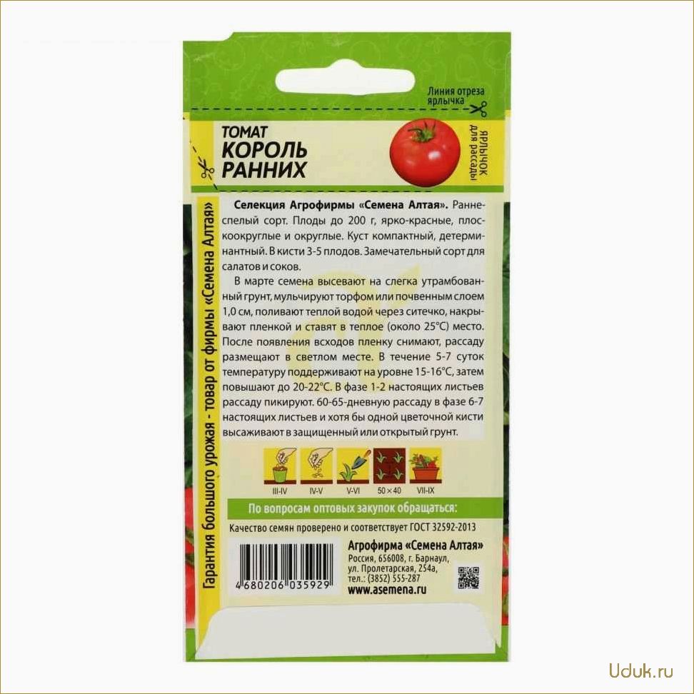 Высокоурожайный сорт томата с могучим вымени: описание, советы по выращиванию и уходу